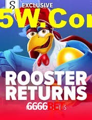 Crash Games Statistics 6666bet